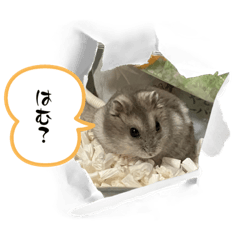 mizunagi_20240808203216