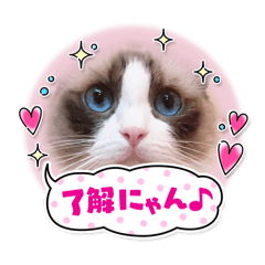 emiletohime_20240808231709