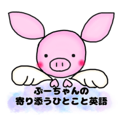 Angel pig Boochan Heartful words