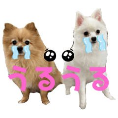 chammm_20240809133247