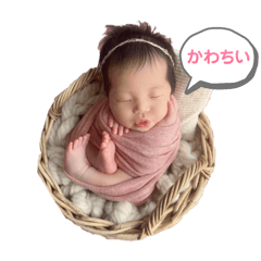 masakichi_20240809130612