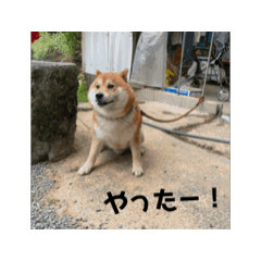 fuwa_20240809173858