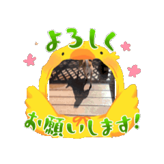 Myama_20240810090229