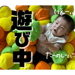 myau_20240809173902