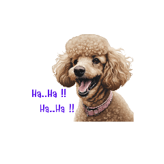 Poodle Cute#1