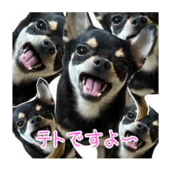 lun_tettto