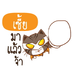 SEER Piakpoon man