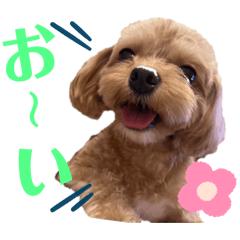 chisa_20240810112118