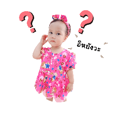 PP&PP_20240810083337