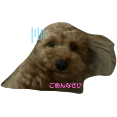 Cheeinu_20240809193318