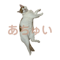 Mitsuki_20240810101224