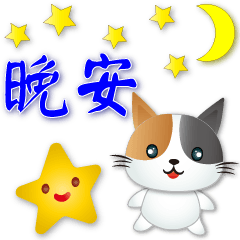 Cute Calico cat- -happy and practical