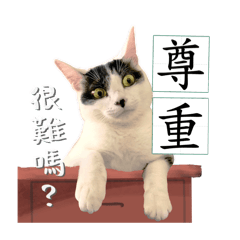 李家三寶飯