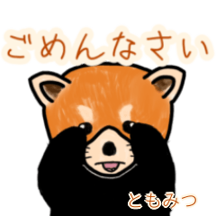 Tomomitsu's lesser panda