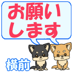 Yokomae's letters Chihuahua2