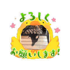 Myama_20240811211502