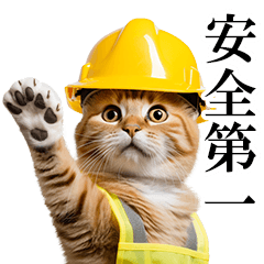 *Real cat construction site