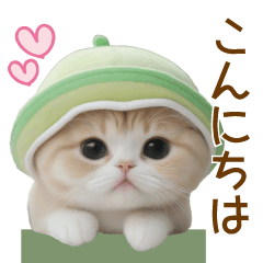 scottish fold and melon sticker