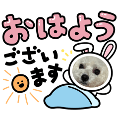 Icchan_20240811015237