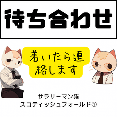 Meetup Daily use Businessman Cat1