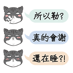 mogggy-Daily Dialogue Box Stickers-new