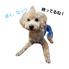 syo_20240811185021
