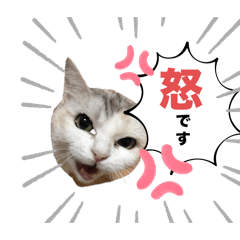 mikxcha