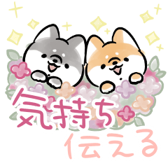 Shiba Inu Dog <Convey feelings 3>