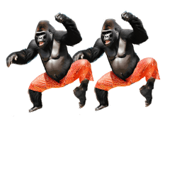 dancing gorillas