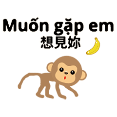 cute cute QQ monkey banana10