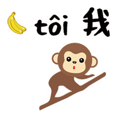 cute cute QQ monkey banana15