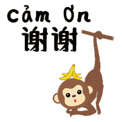 cute cute QQ monkey banana19