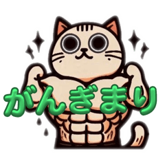 MuscleCat Studio_20240807023702