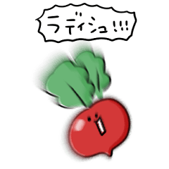 simple radish daily conversation