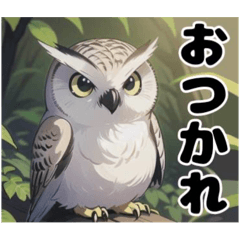 owlclaw_20240809120900