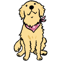 Golden retriever cute stickers