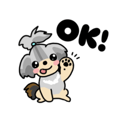 ametama_20240812005731