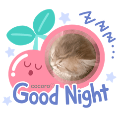 nanairo_20240811233750