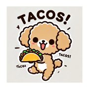 Toy Poodle's "Gourmet" 1