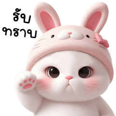 CaT Pink Rabbit