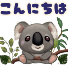 Everyday use  Droopy-eyed Koala