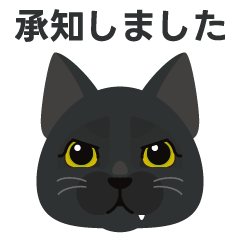 Japanese Polite Cat for Daily Use