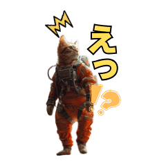 space cool cats