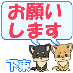 Shimohigashi's letters Chihuahua2