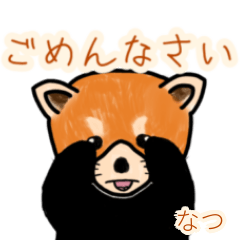 Natsu's lesser panda