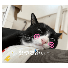 tanasaki_20240812231037