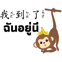 thai cute cute QQ monkey banana22