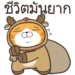 เหมียวซ่า : ซานต้ามาแล้ว!