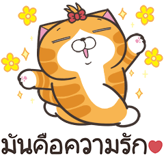 เหมียวซ่า : คลั่งรัก