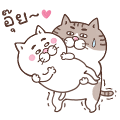 แมวหน้ามึน